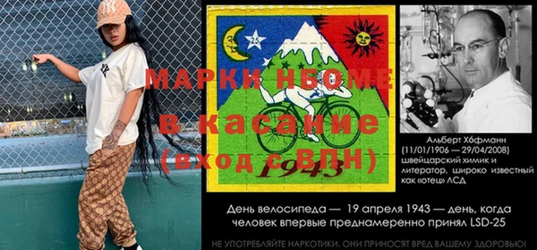 хмурый Верея