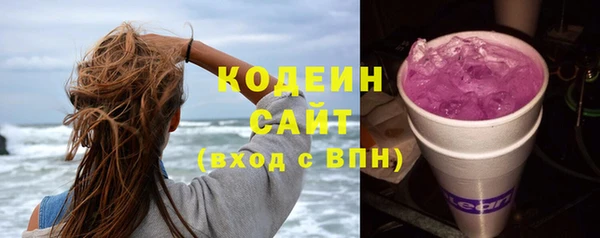 хмурый Верея