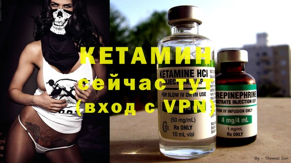 хмурый Верея