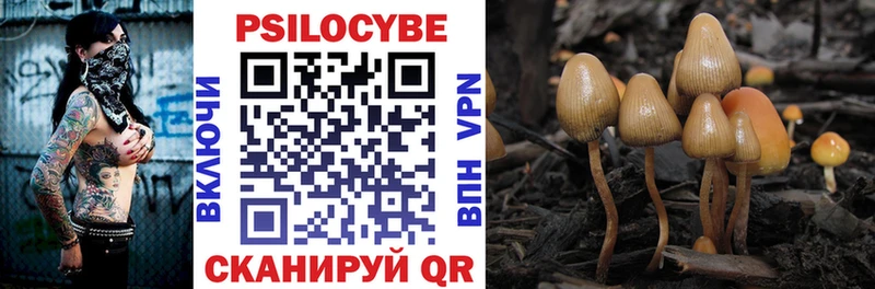 Псилоцибиновые грибы Psilocybe  kraken онион  Дмитровск 